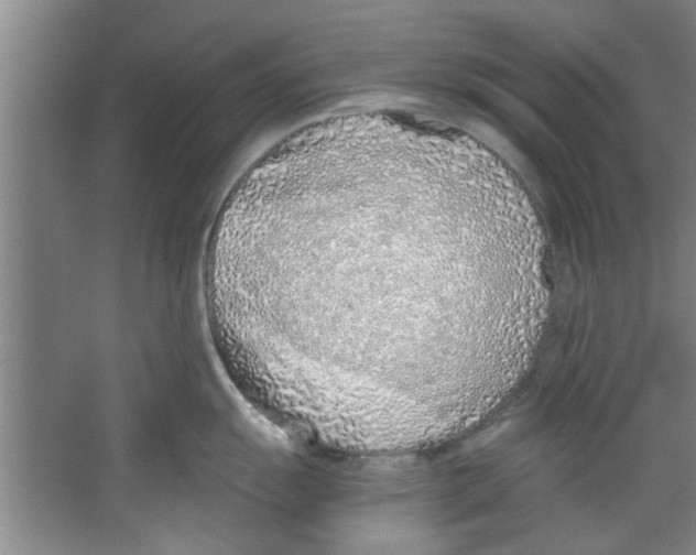 X0000067341055200604281440
