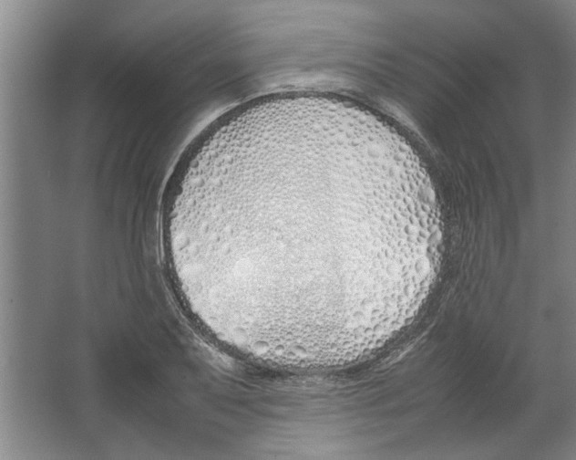 X0000067341079200604281439