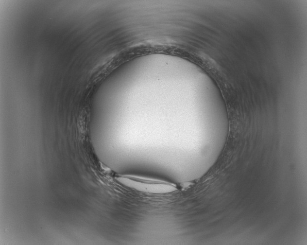 X0000067341110200604281437