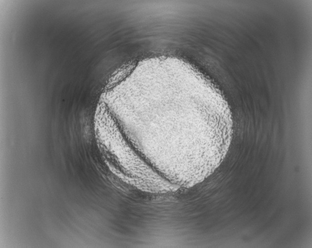 X0000067341154200604281437