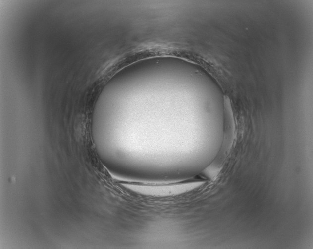 X0000067341157200604281437