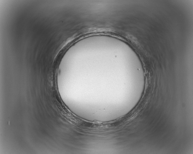 X0000067341165200604281437