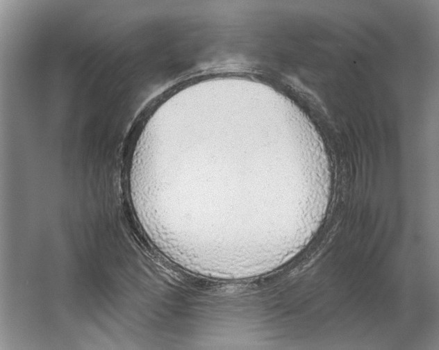 X0000067341166200604281437