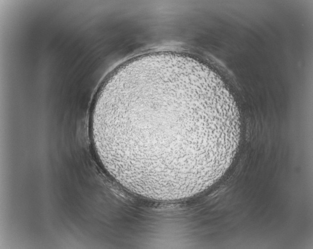 X0000067341174200604281437