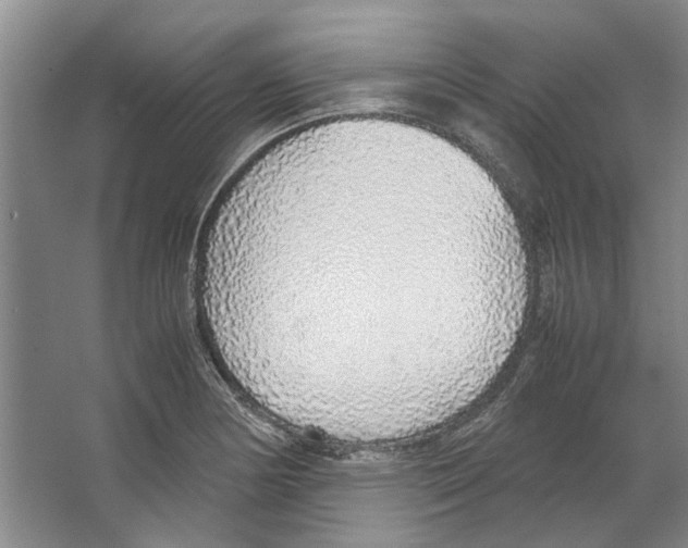 X0000067341178200604281437