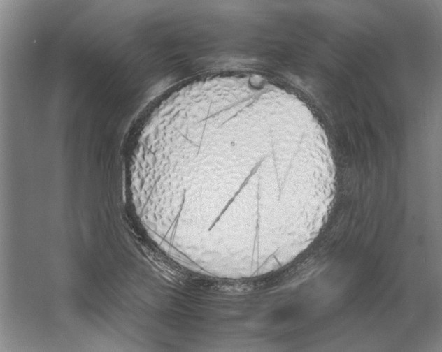 X0000067341219200604281436