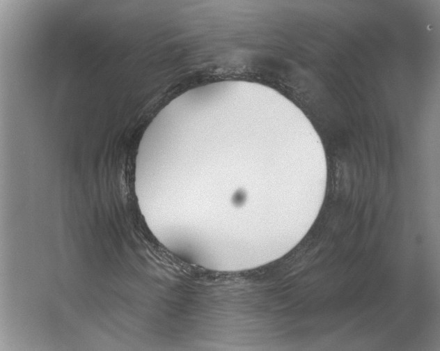 X0000067341250200604281436