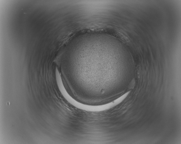 X0000067341298200604281434