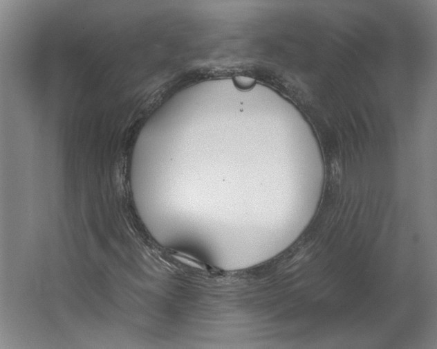 X0000067341300200604281434