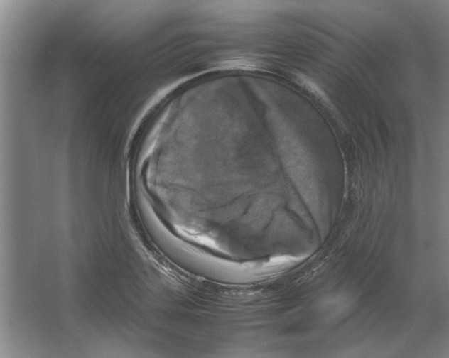 X0000067341323200604281435