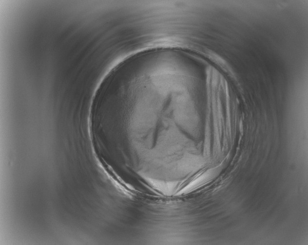 X0000067341334200604281435