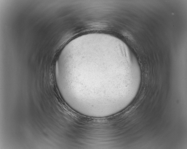 X0000067341354200604281434