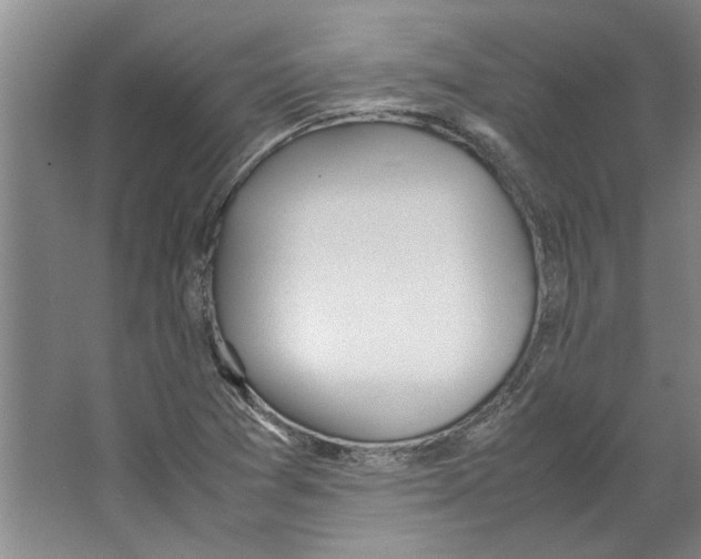X0000067341361200604281434
