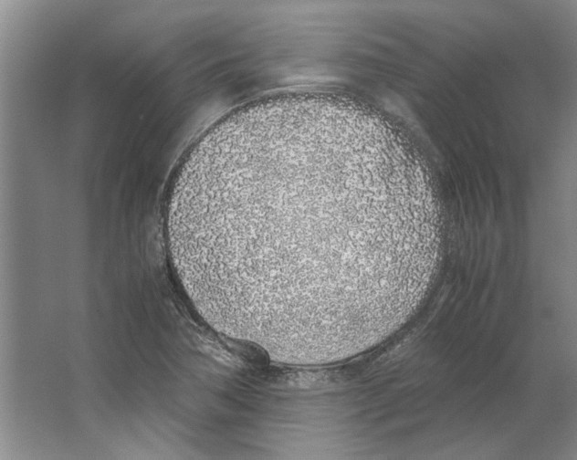 X0000067341362200604281434