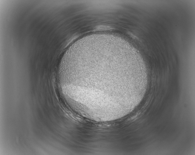 X0000067341401200604281433