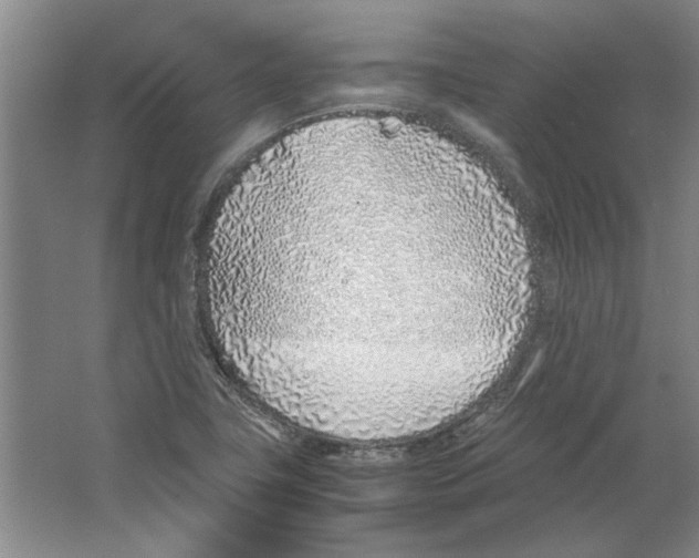 X0000067341411200604281433