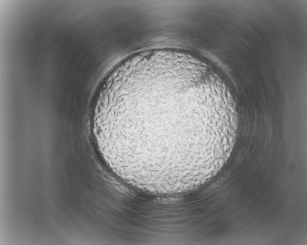 X0000067341415200604281433