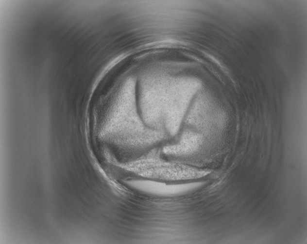 X0000067341418200604281433