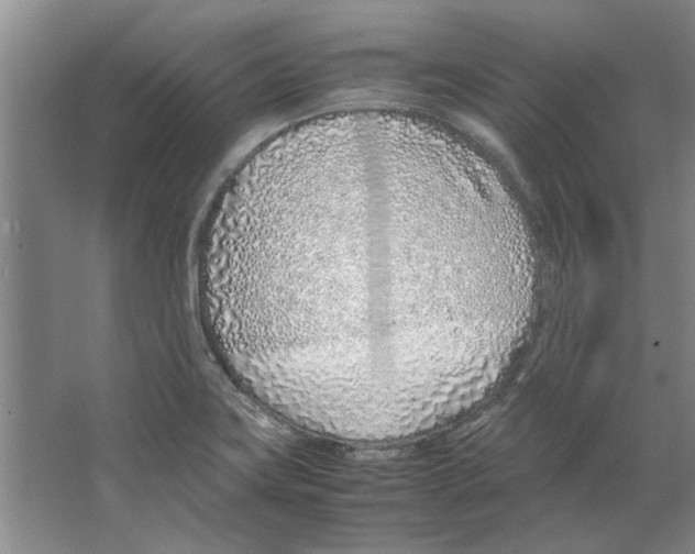 X0000067341419200604281433