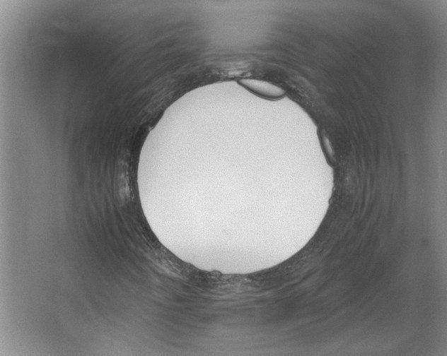 X0000067341442200604281433