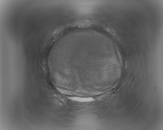 X0000067341445200604281432