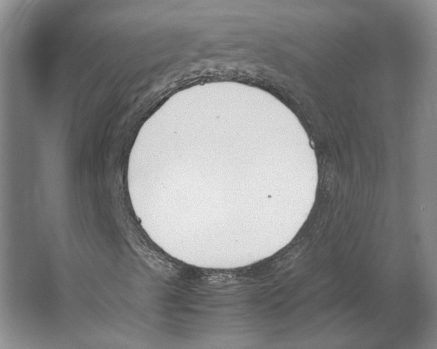 X0000067341489200604281431