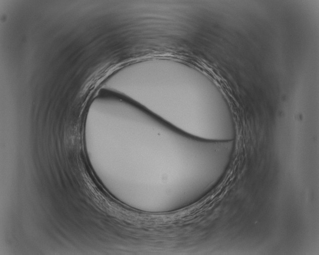X0000067350002200603310911