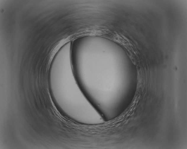 X0000067350003200603310911