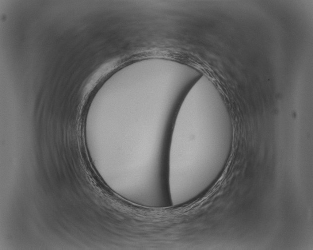 X0000067350006200603310911