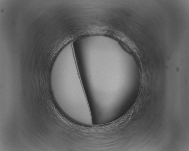 X0000067350009200603310911