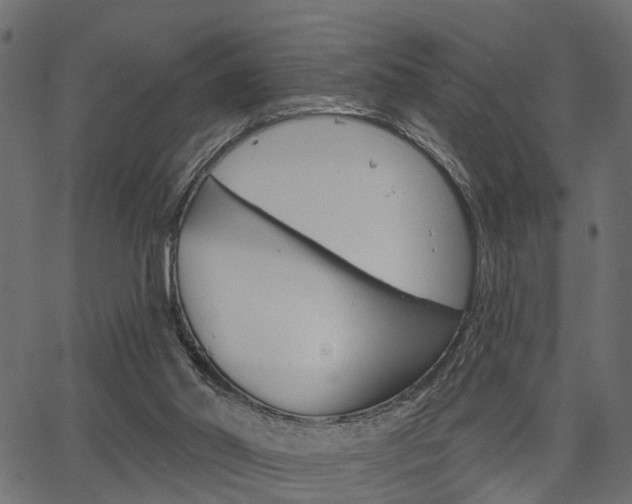 X0000067350014200603310911