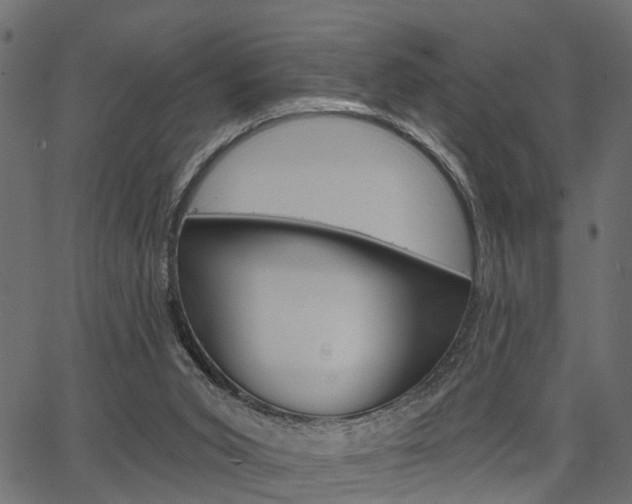 X0000067350015200603310911