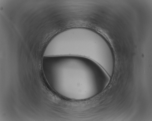 X0000067350017200603310911