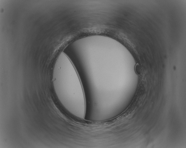 X0000067350020200603310911
