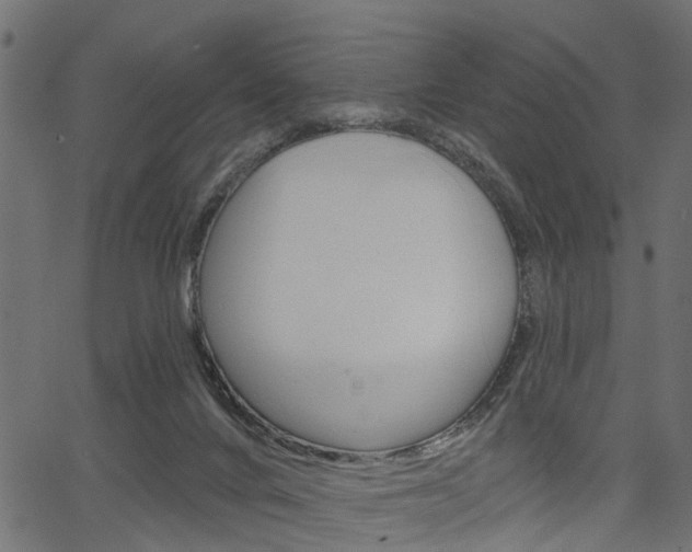 X0000067350024200603310911