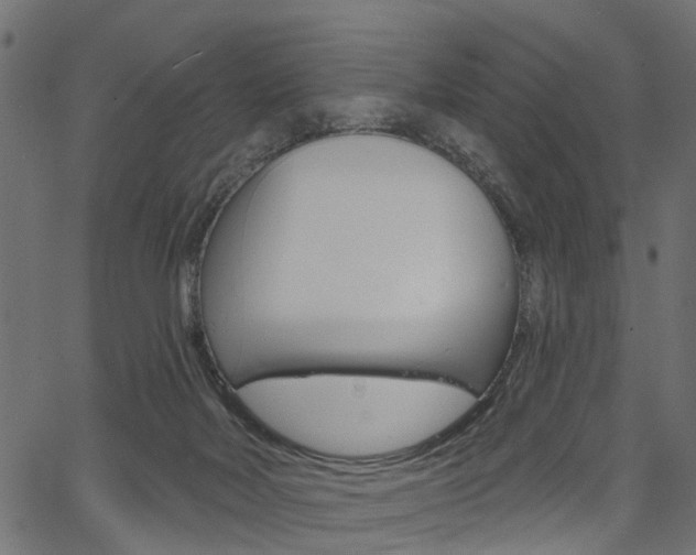 X0000067350026200603310911