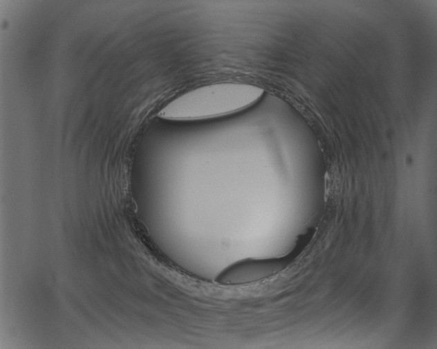 X0000067350043200603310911