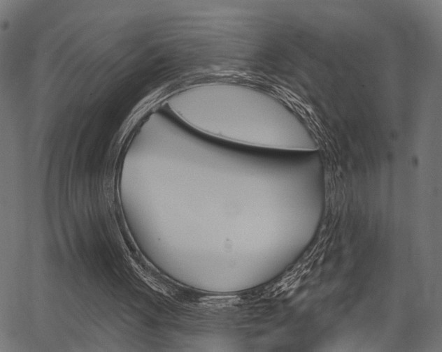 X0000067350051200603310910