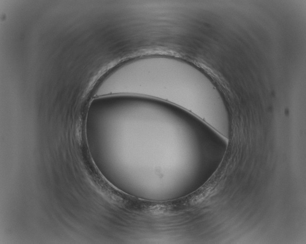 X0000067350064200603310910