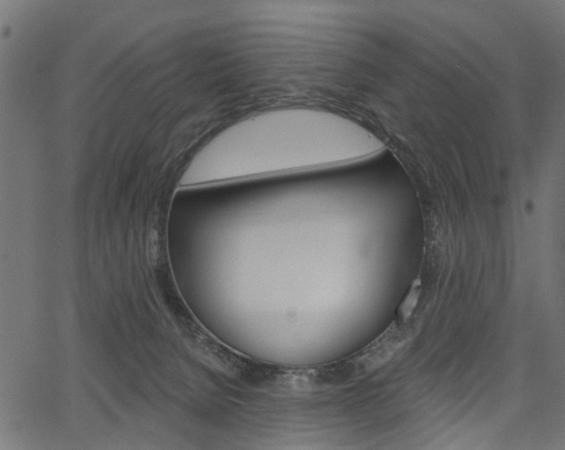 X0000067350080200603310910