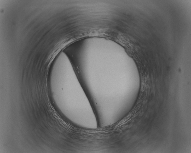 X0000067350098200603310910