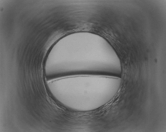 X0000067350100200603310910