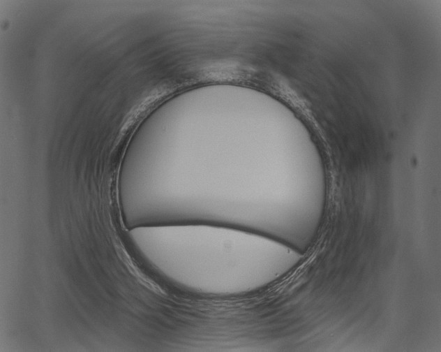X0000067350106200603310910