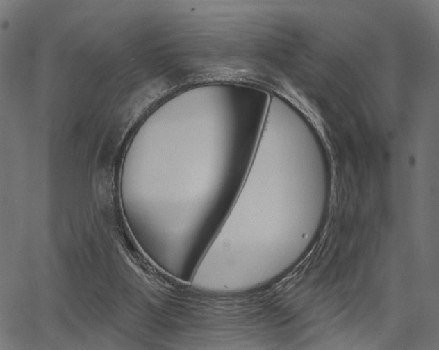 X0000067350107200603310910