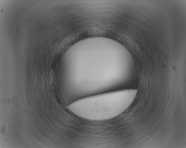 X0000067350133200603310909