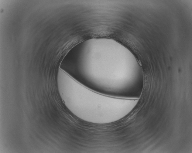 X0000067350143200603310909