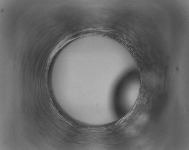 X0000067350150200603310908