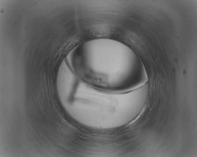X0000067350170200603310909