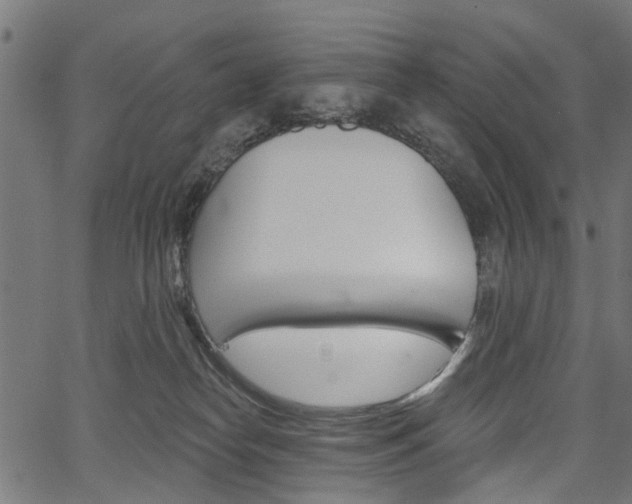 X0000067350182200603310909