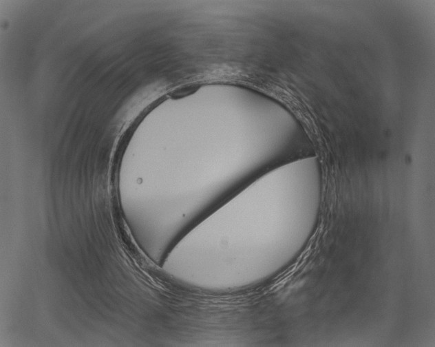 X0000067350196200603310908